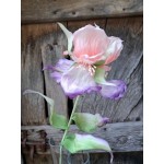 Iris en soie